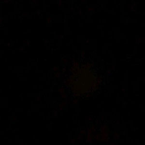 Meet your Posher, Aila